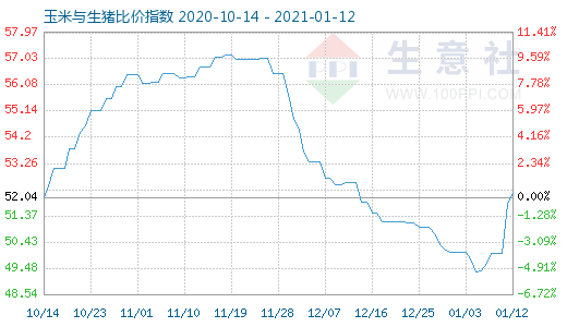 1月12日玉米与生猪比价指数图