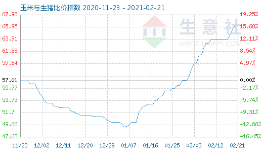 2月21日玉米与生猪比价指数图