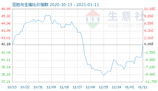 1月11日豆粕与生猪比价指数图