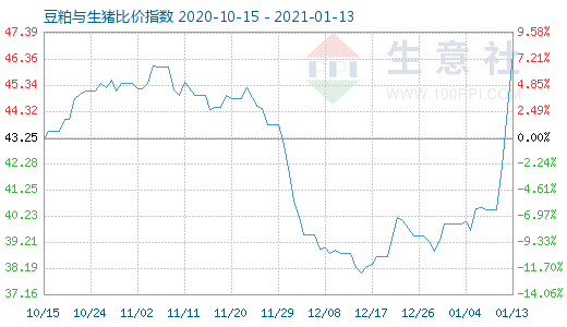 1月13日豆粕与生猪比价指数图