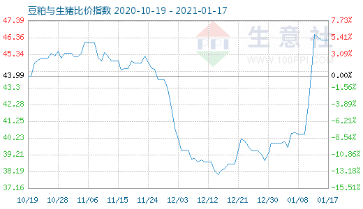 1月17日豆粕与生猪比价指数图