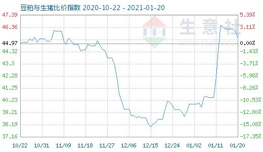 1月20日豆粕与生猪比价指数图