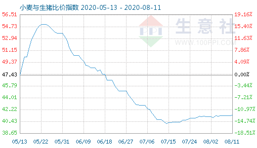 8月11日小麦与生猪比价指数图