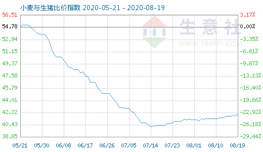 8月19日小麦与生猪比价指数图