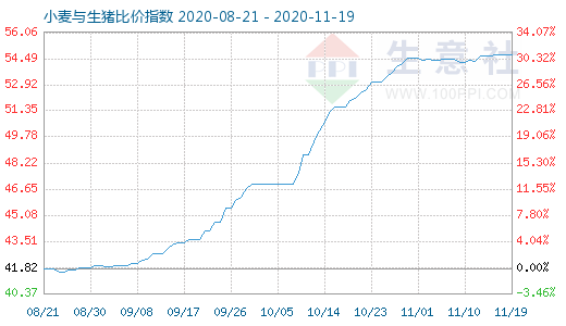 11月19日小麦与生猪比价指数图