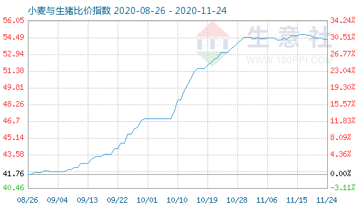 11月24日小麦与生猪比价指数图