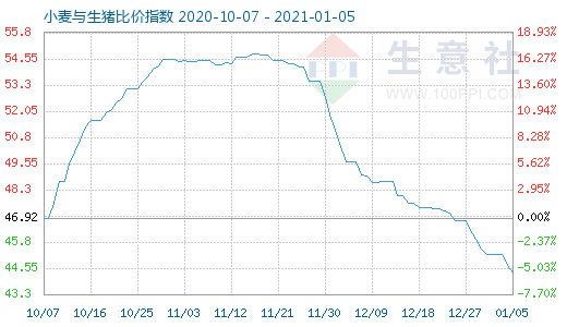 1月5日小麦与生猪比价指数图