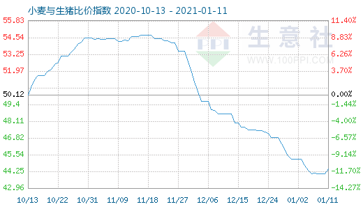 1月11日小麦与生猪比价指数图