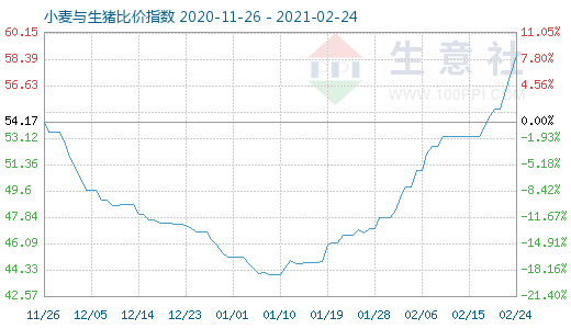2月24日小麦与生猪比价指数图