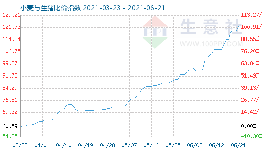 6月21日小麦与生猪比价指数图