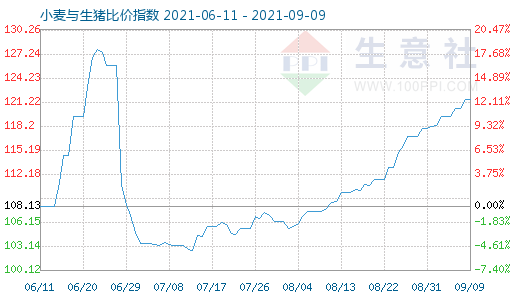 9月9日小麦与生猪比价指数图