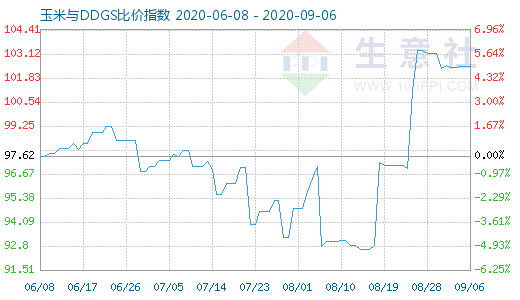 9月6日玉米与DDGS比价指数图
