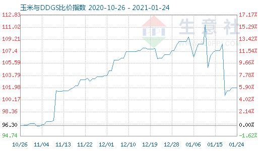 1月24日玉米与DDGS比价指数图